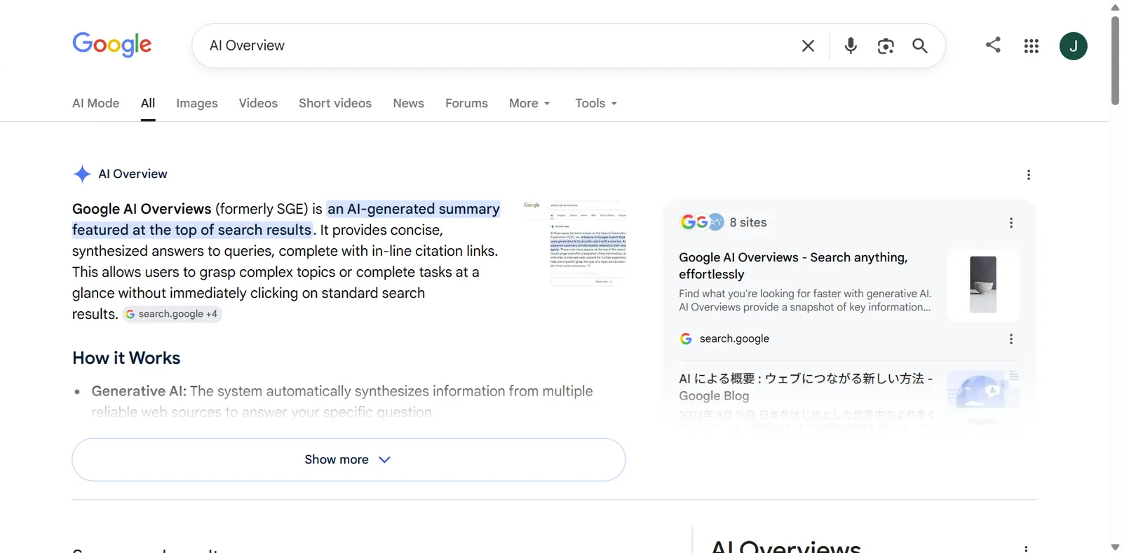 Google 検索結果ページ上部の AI Overview（AI による概要）の要約ボックス